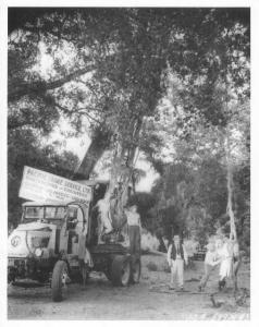 1935 Mack AC Truck w/ Crane Press Photo 0167 - Tarzan Movie Set - Pacific Crane