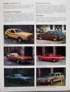 1974 AMC Exterior Color Paint Chips & Woodgrain Vinyl Roofs Two Tones Sales Card