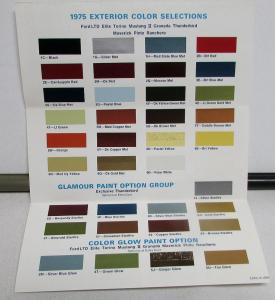 1975 Ford Paint Chips LTD Elite Torino Ranchero Mustang Granada Mav Pinto Tbird