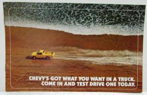 1981 Chevrolet Got What You Want In A Truck Sales Mailer Brochure