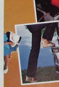 1980 Ford Free Wheelin Trucks Hottest Half-Dozen Sales Brochure Pickups Bronco