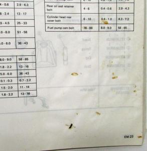 1983 Datsun Nissan Stanza Service Shop Repair Manual Model T11 Series