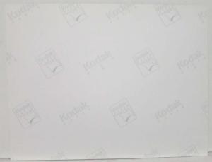2001 Bentley Set of 9 Photo Plates