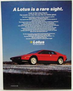 1980 Lotus Esprit Dealer Stand-up Advertisement - Car Facing Left