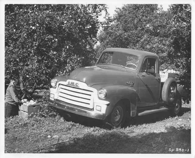 1954 GMC 100 Pickup Truck Factory Press Photo and Release 0002