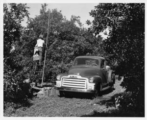 1954 GMC 100 Pickup Truck Factory Press Photo 0003