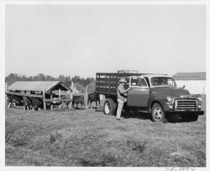 1954 GMC 350 Stake Truck Factory Press Photo 0142