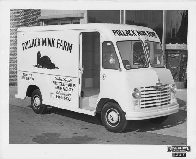 1954 Chevrolet Delivery Boyertown Body Truck Press Photo 0195 Pollack Mink Farm