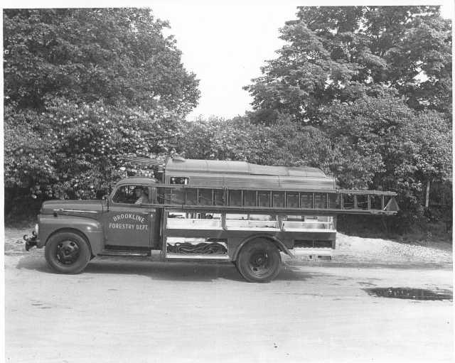 1955 Ford Trucks Press Photo Lot 0276 - Brookline Forestry Dept