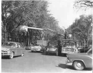 1955 Ford Trucks Press Photo Lot 0276 - Brookline Forestry Dept
