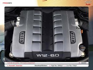 2004 Audi A8 L 60 Quattro 12 Cylinder Press Kit