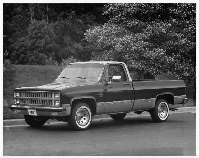 1981 Chevrolet Fleetside Pickup Press Photo and Release 0357