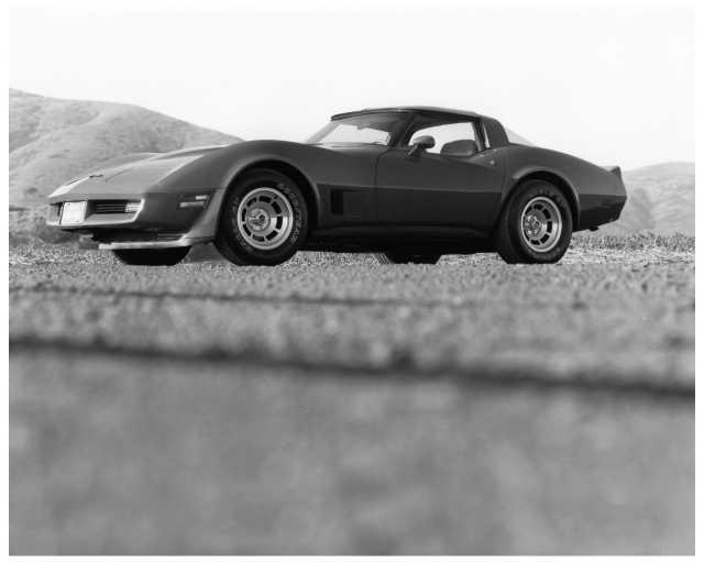 1981 Chevrolet Corvette Press Photo and Release 0362