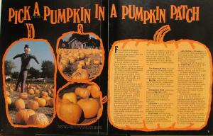1982 GMC Points Mag Sep Oct Issue Aspen Cape May Pumpkins Waterfowl Squirrels