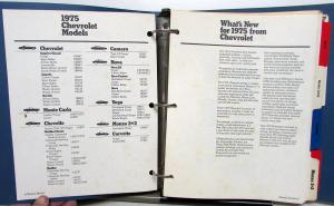 1975 Chevrolet Salesman