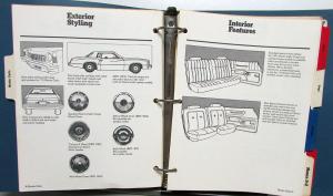 1975 Chevrolet Salesman