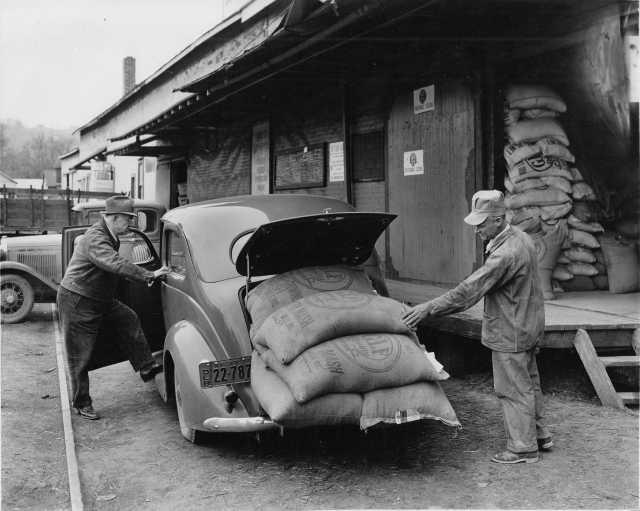1937 Ford with Dealer Tag Loaded Down at Feed Store Press Photo 0600