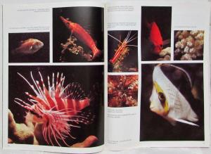 1977 Mercedes-Benz Magazine in aller Welt for Friends of 3-Pointed Star - No 148